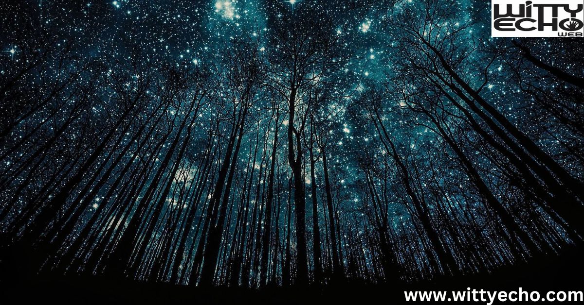 Starry Inspirations Memorable Stargazing Quotes