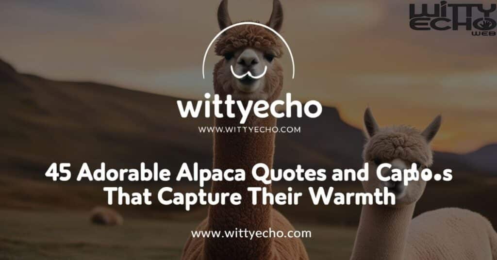 45 Adorable Alpaca Quotes and Captions That Capture Their Warmth